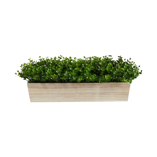 8" Eucalyptus in Decorative Planter
